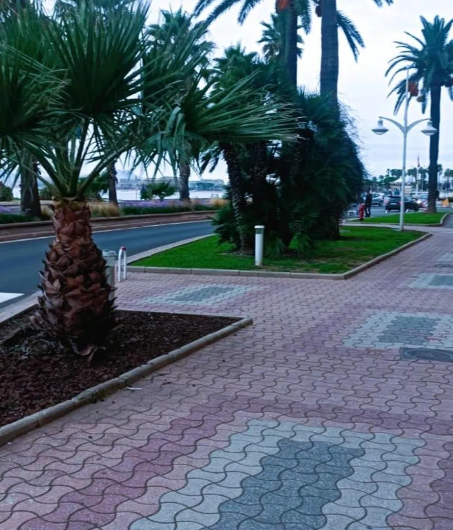 Le Concorde Apartment Saint-Raphael